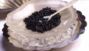 معرفی انواع خاویار فیل ماهی + قیمت خرید روز