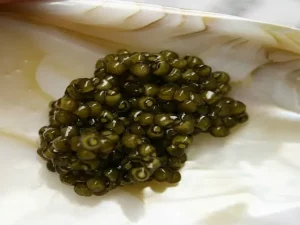 خرید بهترین انواع خاویار اوزون برون با قیمت ارزان