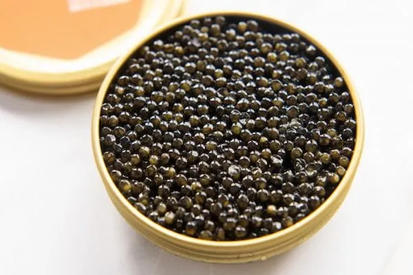 خرید و قیمت روز خاویار سوروگا
